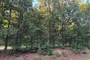 7117 E Old US Hwy 64, Lexington, NC 27292 - Photo 1