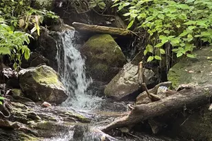 000 Joines Rd, Creston, NC 28615 - Photo 1