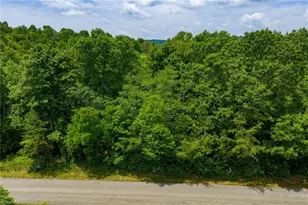 Tbd Air Bellows Gap Rd, Sparta, NC 28675 - Photo 1