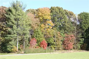Tbd Old Quarry Rd, State Road, NC 28676 - Photo 1