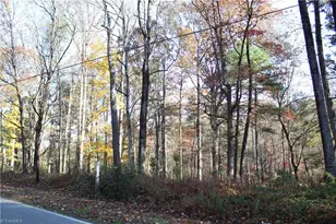 Tbd Old Quarry Rd, State Road, NC 28676 - Photo 1