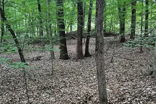 0 Jones Rd, Winston-Salem, NC 27107 - Photo 1