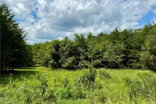 0 Renee Ln, Westfield, NC 27053 - Photo 1