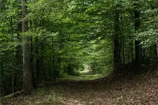 00 Peewee Cromer Rd, Danbury, NC 27016 - Photo 1