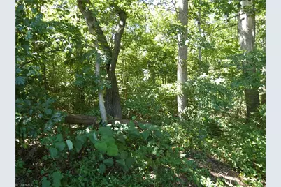 00 Aspen Street, Yadkinville, NC 27055 - Photo 1