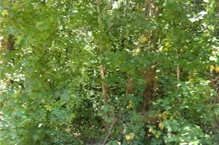 00 Brookfield Ln, Yadkinville, NC 27055 - Photo 1