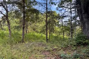 Tbd Crews Rd, Moravian Falls, NC 28654 - Photo 1