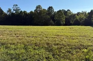 Lot 35 Frank Joyce Rd, Sandy Ridge, NC 27046 - Photo 1