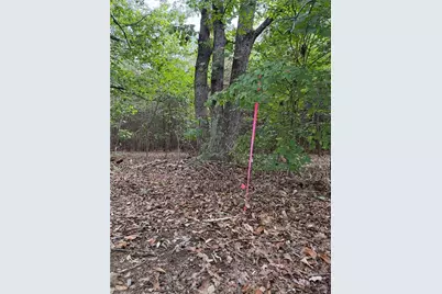 Lot 2 Ruff Hollar Drive, East Bend, NC 27018 - Photo 1