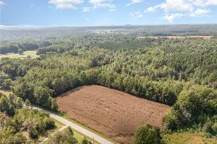 0 Carl Allred Rd, Franklinville, NC 27248 - Photo 1