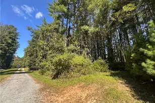 Tbd Billings Way, Glade Valley, NC 28627 - Photo 1