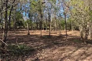 0 Blue Dan Ln, Yadkinville, NC 27055 - Photo 1