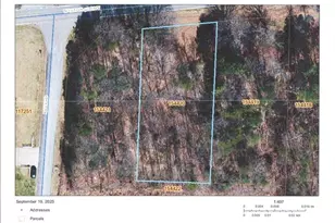 0 W Old US Hwy 421, Hamptonville, NC 27020 - Photo 1