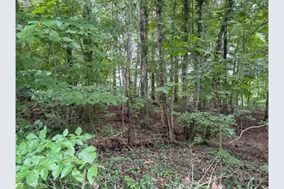 0 Henry Road, Asheboro, NC 27205 - Photo 1