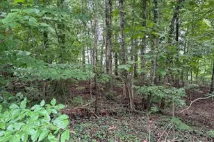 0 Henry Rd, Asheboro, NC 27205 - Photo 1