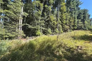 Tbd Pine Grove Circle, Glade Valley, NC 28627 - Photo 1