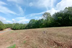 0 Dearmin Rd, Westfield, NC 27053 - Photo 1