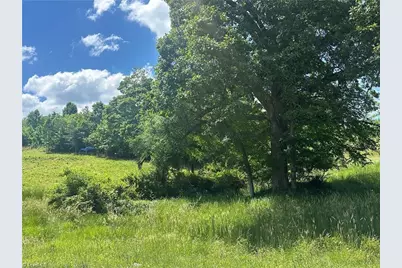 0 Mulberry Academy Street, Franklinville, NC 27248 - Photo 1