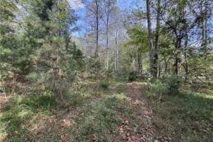 1160 Sandy Ln, Sandy Ridge, NC 27046 - Photo 1