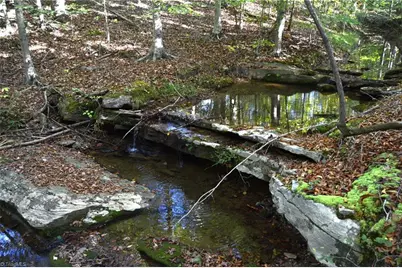 501 Barley Road, Reidsville, NC 27320 - Photo 1