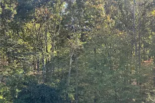 0 Old Lexington Rd, Asheboro, NC 27203 - Photo 1