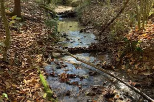 00 Seth Walsh Rd, Boomer, NC 28606 - Photo 1