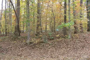 2973 Creek Point Pl, Graham, NC 27253 - Photo 1