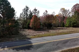 254 Wayne Gobble Rd, Linwood, NC 27299 - Photo 1