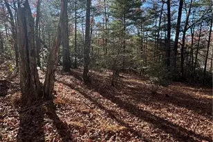 324 Morrison Ln, Fleetwood, NC 28626 - Photo 1