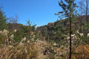 Tbd Browntown Rd, Millers Creek, NC 28651 - Photo 1