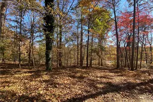 24362 S Nc Hwy 109, Denton, NC 27239 - Photo 1