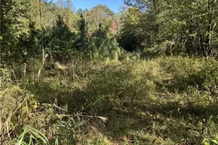 0000 Royall Rd, Thurmond, NC 28683 - Photo 1