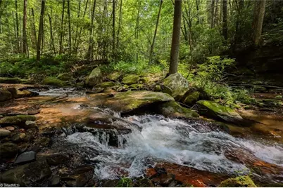 1612 Fall Creek Road, Purlear, NC 28665 - Photo 1