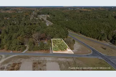 Vacant McCallum Road, Candor, NC 27229 - Photo 1