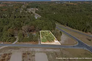 Vacant McCallum Rd, Candor, NC 27229 - Photo 1