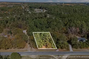 Vacant McCallum Rd, Candor, NC 27229 - Photo 1