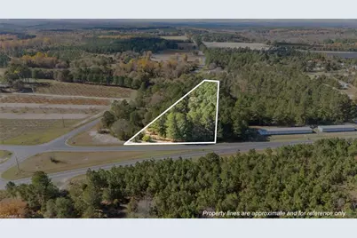 Vacant US Highway 220 Alt N, Candor, NC 27229 - Photo 1