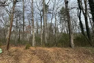 0 Jackson Rd, Mount Airy, NC 27030 - Photo 1