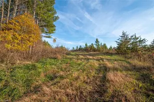 00 Lady Mary Rd, Stoneville, NC 27048 - Photo 1