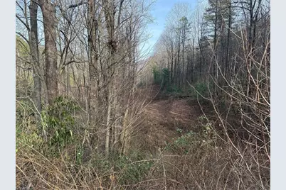 00 Longbottom Road, McGrady, NC 28649 - Photo 1