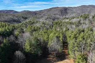 Tbd Big Ivy Rd, Purlear, NC 28665 - Photo 1