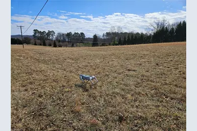 00 Volunteer Road #1, Pinnacle, NC 27043 - Photo 1