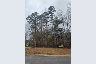 0 Drama Road, Snow Camp, NC 27349 - Photo 1