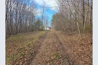 2051 Toms Creek Church Road, Pilot Mountain, NC 27041 - Photo 1