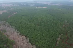 00 Nc Hwy 73 W, Mount Gilead, NC 27306 - Photo 1