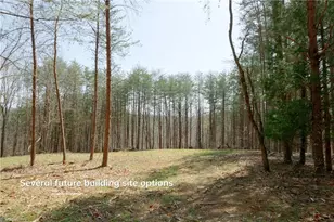 1583 Seven Island Rd, Danbury, NC 27016 - Photo 1