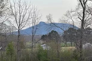 166 Springfield Rd, Pilot Mountain, NC 27041 - Photo 1