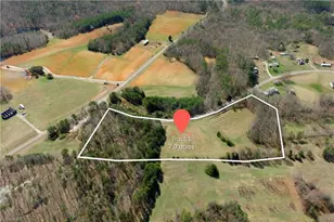0 Flat Rock Rd, Pinnacle, NC 27043 - Photo 1
