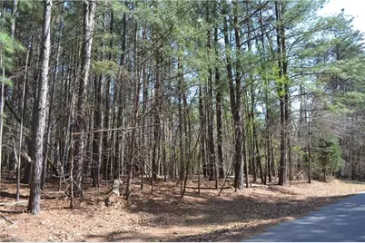 3.6 Acres Fairway Drive, Stoneville, NC 27048 - Photo 1