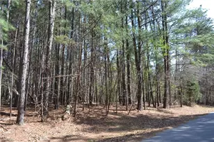 3 6 Acres Fairway Dr, Stoneville, NC 27048 - Photo 1